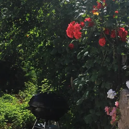 Apartment With A Parking Space Cavtat, Dubrovnik - 9041