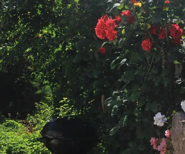 Lägenhet With A Parking Space Cavtat, Dubrovnik - 9041